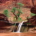 2010/10/desiwalls-coyote-gulch-escalante-river-canyons-utah1