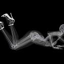 2010/10/erooups-unique-pin-up-calendar-with-x-rayed-photos-of-models-9