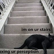 2010/11/moonbuggy-im-on-ur-stairs