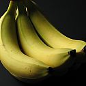 2010/12/foto-lizenzfrei-bananen