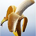 2010/12/stern-banane-habt-schon-mal-ne-banane-aufgenommen-510x510