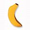 2010/12/11141banane