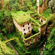 2011/03/1293812833001