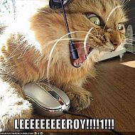 2011/03/1293830145293