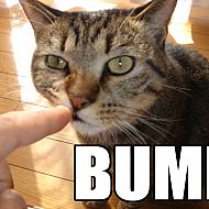 2011/03/1294496301001