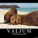 2011/04/imageshack-valium2