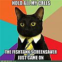 2011/04/memes-business-cat-hold-my-calls1