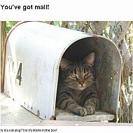 2011/04/1254031845whukbhd