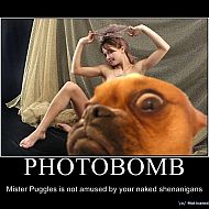 2011/04/1284246686817