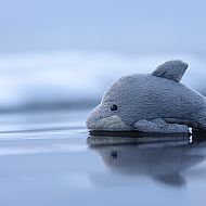 2011/04/668bb095db28ea8911d523cfa96efca2