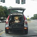 2011/05/82797581
