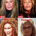 2012/04/jocelyn-wildensteinscheisseimergesicht