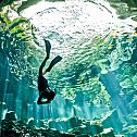 2012/09/descending-in-cenote2