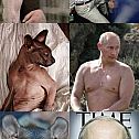 2015/03/echtlustig-vladimir-putin-vs-sphynx-katze