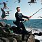 2015/03/christian-bale-fishing-seagulls-desktop-1620x1100-hd-wallpaper-1242553