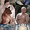 2015/03/echtlustig-vladimir-putin-vs-sphynx-katze