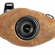 2015/12/33cb00fbe4f06834