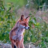 2016/01/86aea663c0eeea6e