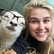 2016/01/ae77a59a85c14dd1