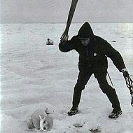 2021/08/19b70078f74df105423e05907243584a