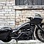 2021/11/f-bomb-bagger-harley-davidson-road-glide-2