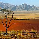 2022/01/namibrand-nature-reserve-namibia-africa-596398501