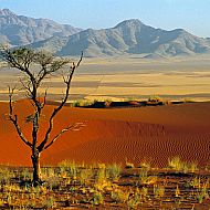 2022/01/namibrand-nature-reserve-namibia-africa-596398501