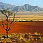 2022/01/namibrand-nature-reserve-namibia-africa-596398501
