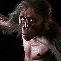 2022/03/1st-white-homonin-graecopithecus-freybergi-7-2-mill-yrs