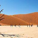 2022/03/namib-desert1