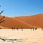 2022/03/namib-desert1