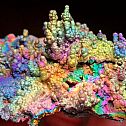 2022/04/botryoidal-specimen-of-iridescent-hematite-turgite