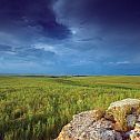 2022/04/tallgrass-prairie-preserve-by-mike-fuhr-0