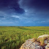 2022/04/tallgrass-prairie-preserve-by-mike-fuhr-0