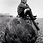 2022/04/boy-sitting-on-sea-mine-deal-kent-7th-february-1940