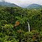 2022/06/regenwald-costa-rica-istock-92682580-ajsn-jpg-4571248