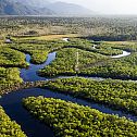 2022/09/adobestock-133661904-amazonas