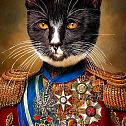 2022/10/katzenportrait-gemaelde-general-katze-in-uniform-bild-kaufen-kunst-cat-art-funny-cats-nero-kuenstler-geschenkidee-individuell-1