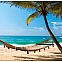 2022/10/strand-hngematte-beach-meer-palmen-wandtattoo-wandsticker-wandaufkleber-r0222