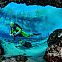 2022/11/cave-diving-florida-top-locations-and-where-to-find-them