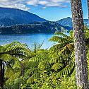 2023/01/new-zealand-mountains-lake-elaine-bay-marlborough-519543-1920x1080