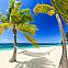 2023/04/grand-cayman-7-mile-beach-shutterstock-237998587-l-large