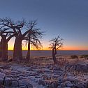 2023/05/nws-st-botswana-makgadikgadi-kubu-island