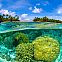 2023/05/marshallinseln-die-einzigartige-unterwasserwelt-des-majuro-atolls-der-marshall-inseln-zieht-eine-vielzahl-an-tauchern-an-luiz-a-rocha-shutterstock-1200x800