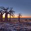 2023/05/nws-st-botswana-makgadikgadi-kubu-island