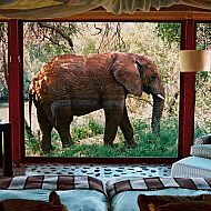 2023/11/sanctuary-makanyane-safari-lodge-north-west-province