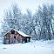 2023/11/boxelder-cabin-winter-snowfall